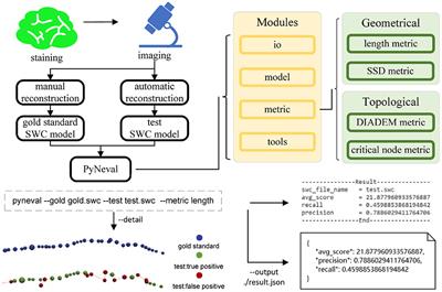PyNeval: A Python Toolbox for Evaluating Neuron Reconstruction Performance